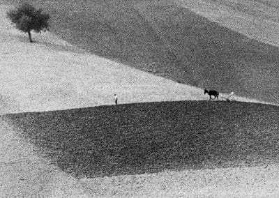 Gianni Berengo Gardin - Scatti per Bene 2024 - Associazione CAF