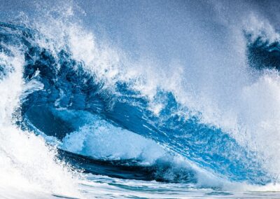 Sasha Benedetti - Scatti per Bene 2025 - Associazione CAF