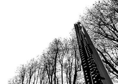 Susanna Crisanti - Scatti per Bene 2025 - Associazione CAF