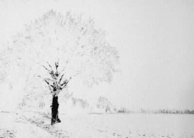 Maurizio Gabbana - Scatti per Bene 2025 - Associazione CAF