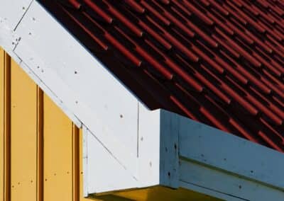 Andrea Gracis - Scatti per Bene 2025 - Associazione CAF