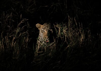 Nadezhda Kireyeva - Scatti per Bene 2025 - Associazione CAF