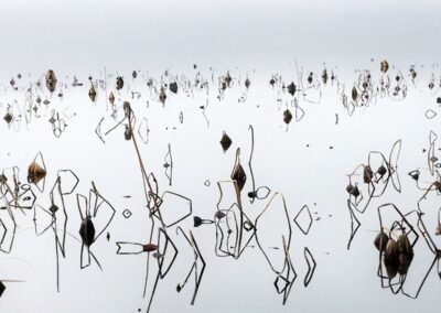 Ferruccio Pavesi - Scatti per Bene 2025 - Associazione CAF