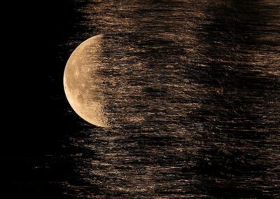 Edoardo Romagnoli - Scatti per Bene 2025 - Associazione CAF