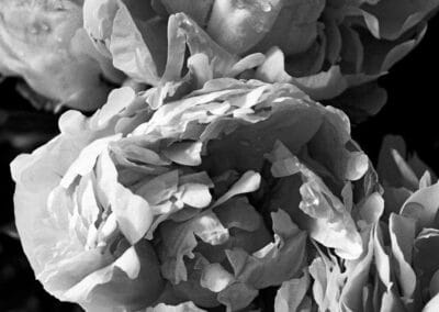 Ferdinando Scianna - Scatti per Bene 2025 - Associazione CAF